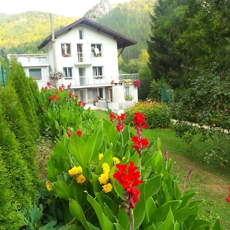 The Illuminating House 3* Lomnitsa